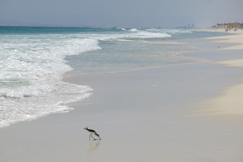 Strandlufer, Salalah, Oman 2015