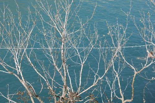 Xlendi Bay I, Gozo 2014